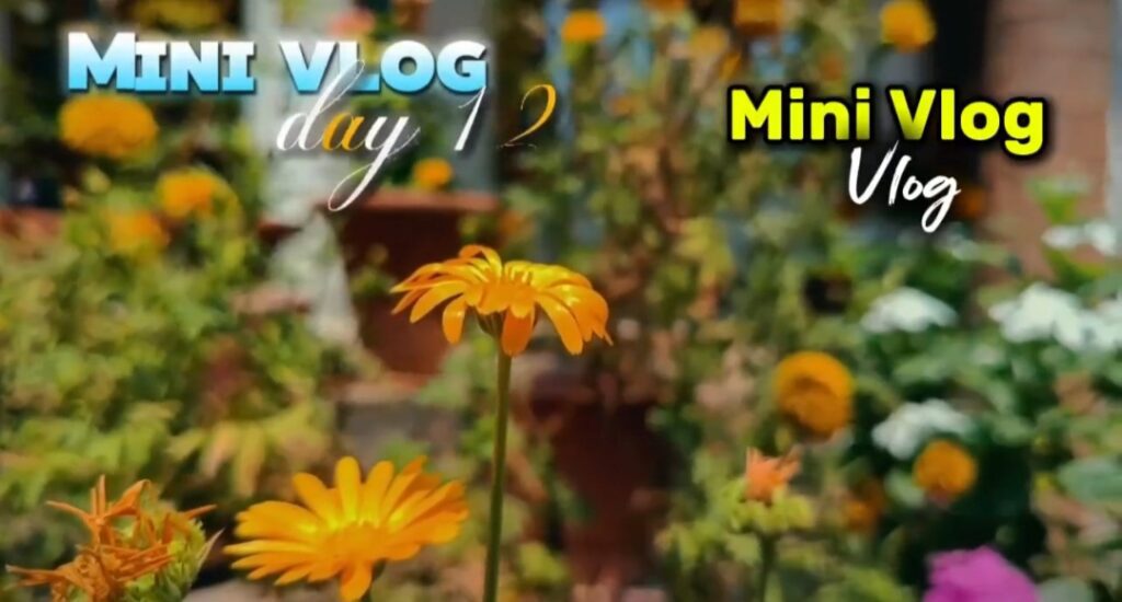 Instagram Viral Mini Vlog Video Editing Template - CapCut Mini Vlog Template