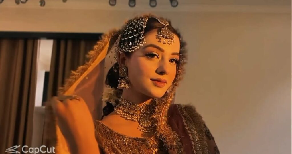 Top 10 New Trending Girls CapCut Template For Video Editing