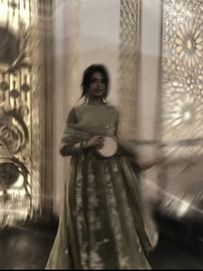 Top 10 New Trending Girls CapCut Template For Video Editing